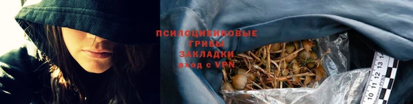 прущий лед Абаза