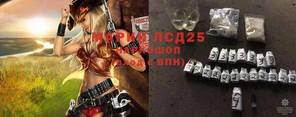 стафф Абинск