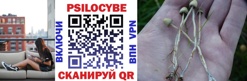 Галлюциногенные грибы Psilocybine cubensis  Сольвычегодск 